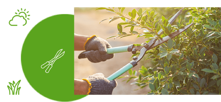 themenwelt Herbstzeit der letzter Rueckschnitt des Jahres 675x312